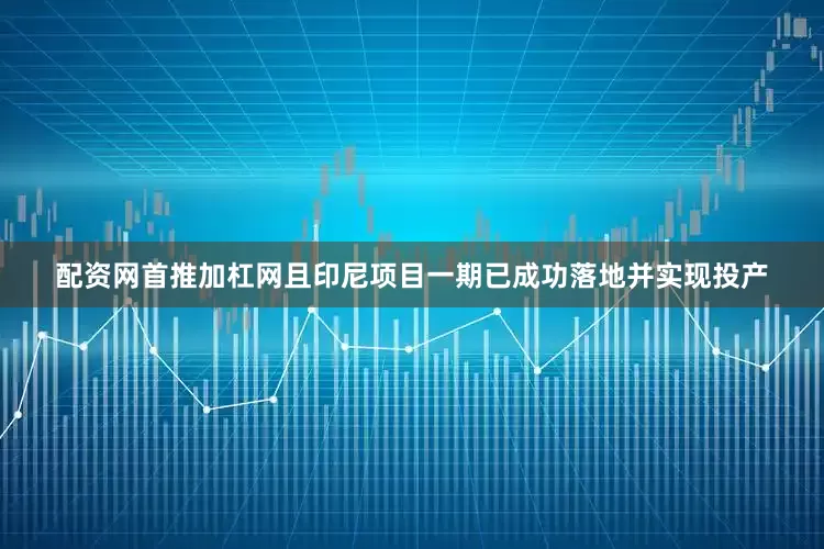 配资网首推加杠网且印尼项目一期已成功落地并实现投产