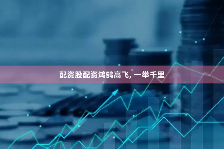 配资股配资鸿鹄高飞, 一举千里