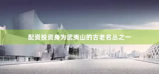 配资投资身为武夷山的古老名丛之一