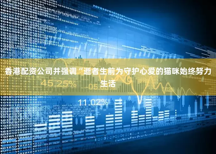 香港配资公司并强调“逝者生前为守护心爱的猫咪始终努力生活