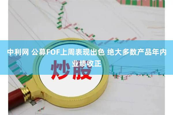 中利网 公募FOF上周表现出色 绝大多数产品年内业绩收正